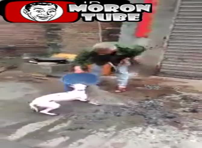 Video :China - This jerk burned a puppy while giggling (Public Averti)